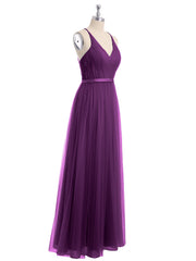 Viola
