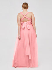 Fenicottero