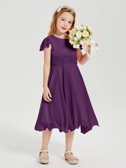 Viola