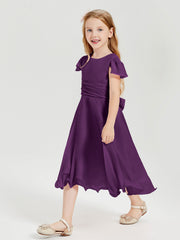 Viola
