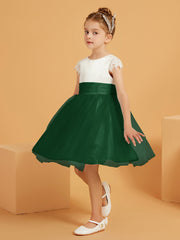 Verde Scuro