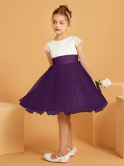 Viola