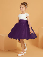 Viola