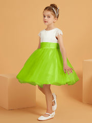 Verde Lime