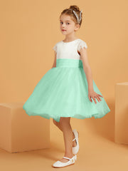 Verde Menta