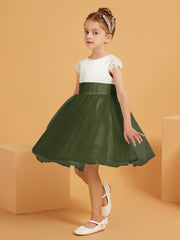 Verde Oliva