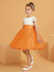 Arancio