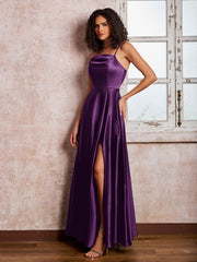 Viola