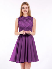 Viola