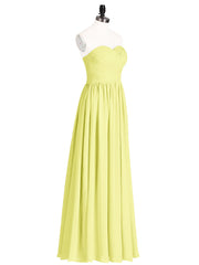 Daffodil