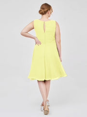 Daffodil