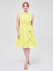 Daffodil