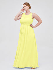 Daffodil