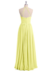 Daffodil