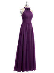 Viola