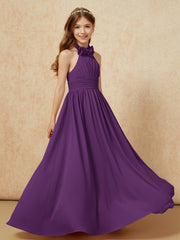 Viola