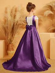 Viola