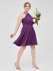 Viola