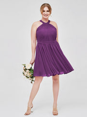 Viola