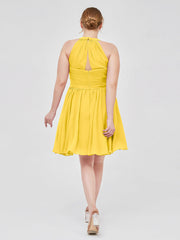 Calendula
