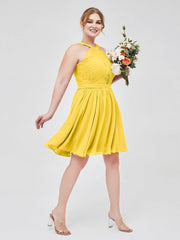 Calendula