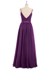 Viola