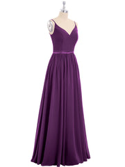 Viola