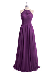 Viola