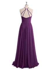 Viola