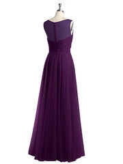 Viola