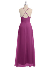 Orchidea
