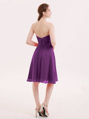 Viola