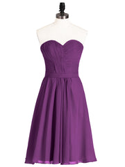 Viola
