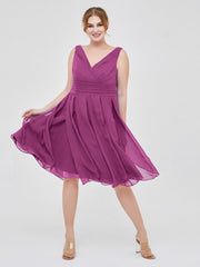 Orchidea