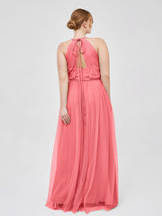Cocomero