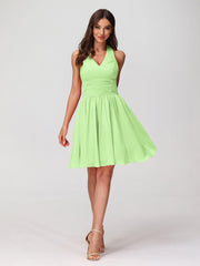 Salvia