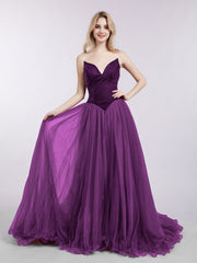 Viola