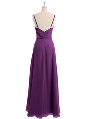 Viola