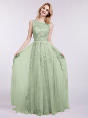 Salvia Polvere