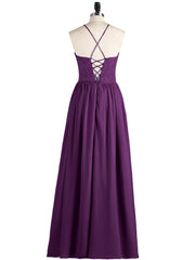 Viola