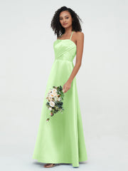 Salvia