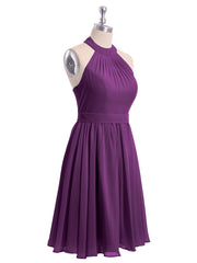 Viola
