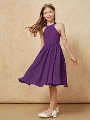Viola