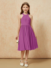 Orchidea