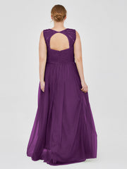 Viola