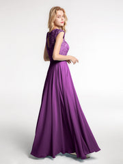 Viola