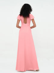Fenicottero