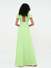 Salvia